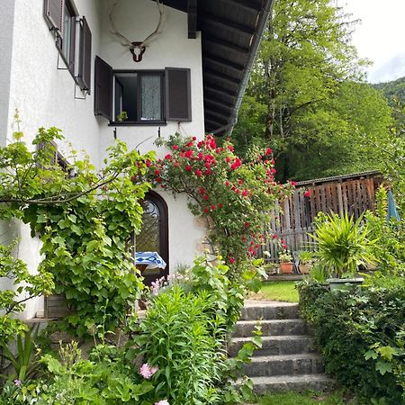 Ferienwohnung Laimer, Radau 37 Sankt Wolfgang im Salzkammergut Екстер'єр фото