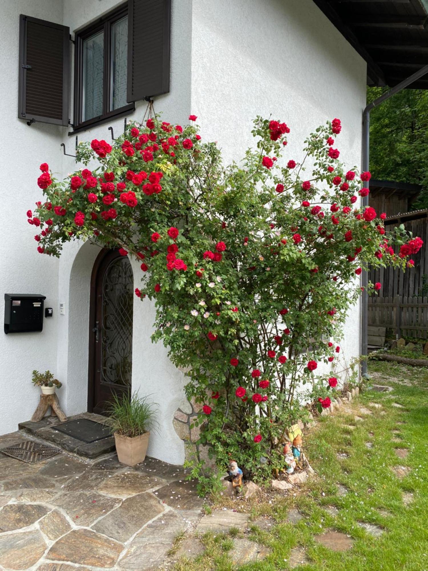 Ferienwohnung Laimer, Radau 37 Sankt Wolfgang im Salzkammergut Екстер'єр фото