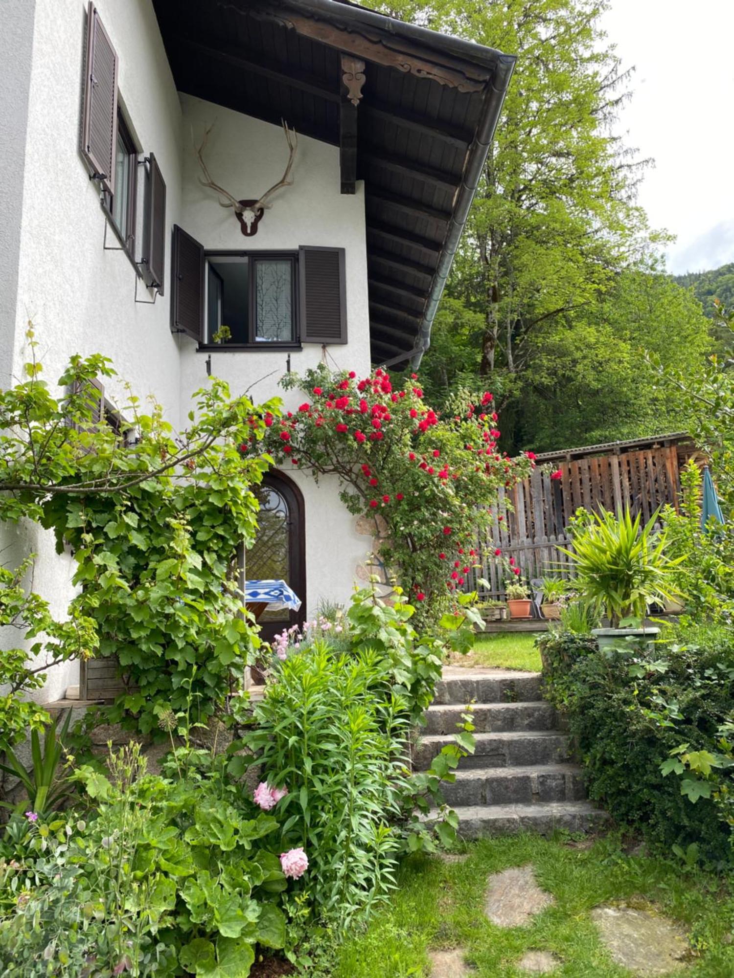 Ferienwohnung Laimer, Radau 37 Sankt Wolfgang im Salzkammergut Екстер'єр фото